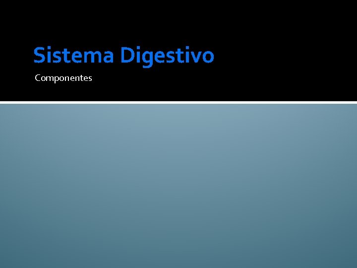 Sistema Digestivo Componentes 