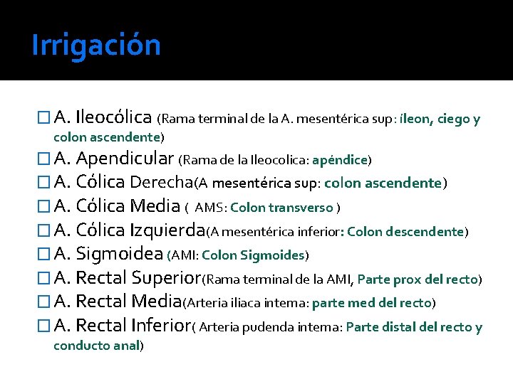 Irrigación � A. Ileocólica (Rama terminal de la A. mesentérica sup: íleon, ciego y