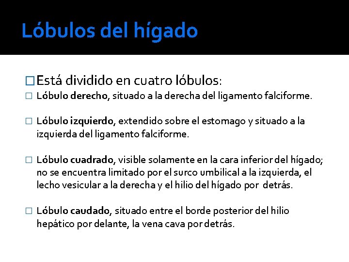 Lóbulos del hígado �Está dividido en cuatro lóbulos: � Lóbulo derecho, situado a la