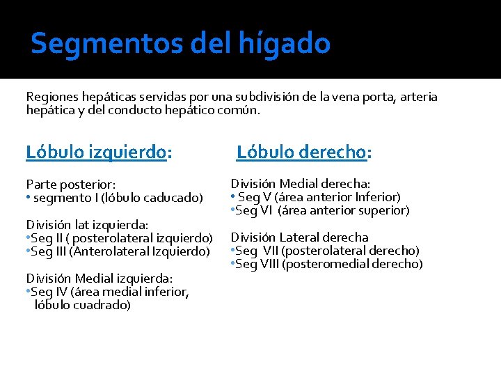 Segmentos del hígado Regiones hepáticas servidas por una subdivisión de la vena porta, arteria