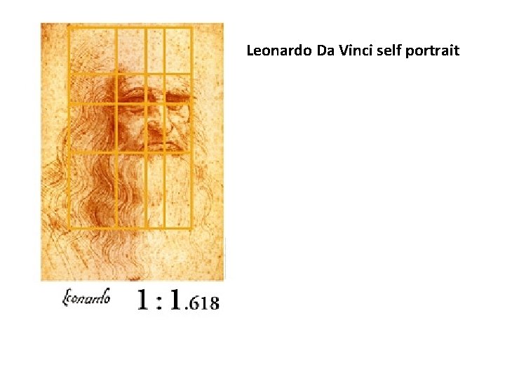 Leonardo Da Vinci self portrait 