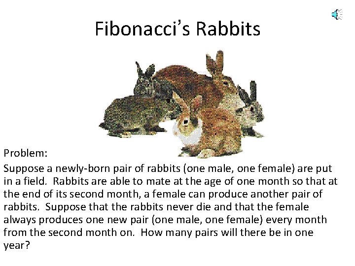 Fibonacci’s Rabbits Problem: Suppose a newly-born pair of rabbits (one male, one female) are