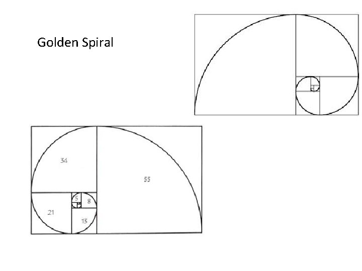 Golden Spiral 