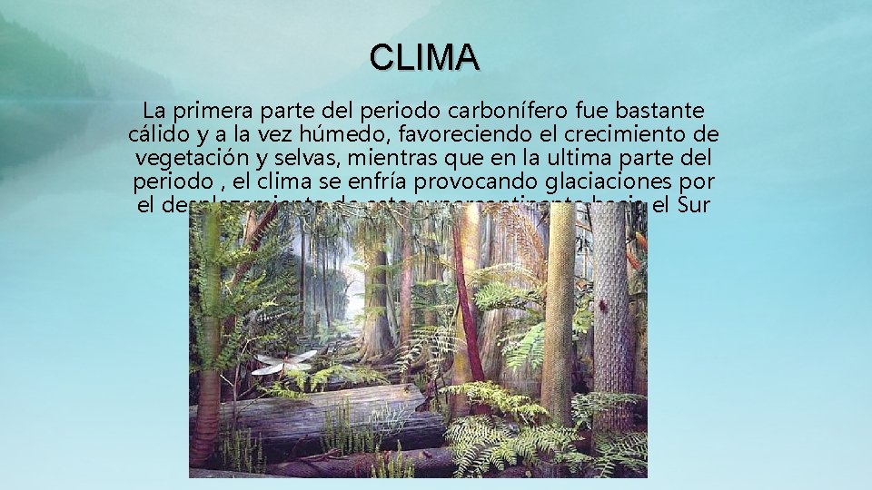 CLIMA La primera parte del periodo carbonífero fue bastante cálido y a la vez