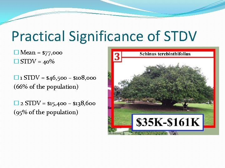 Practical Significance of STDV � Mean = $77, 000 � STDV = 40% � Practical Significance of STDV � Mean = $77, 000 � STDV = 40% �