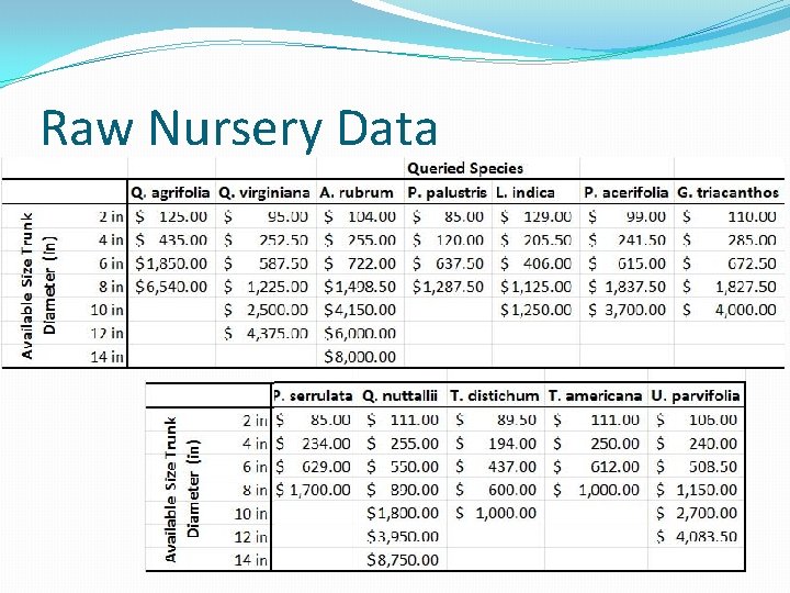 Raw Nursery Data Raw Nursery Data