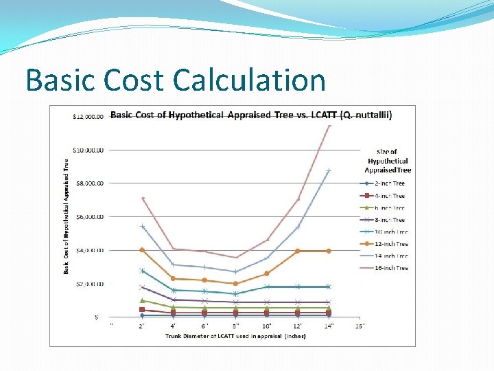 Basic Cost Calculation Basic Cost Calculation