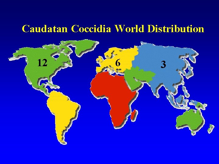Caudatan Coccidia World Distribution 12 6 3 