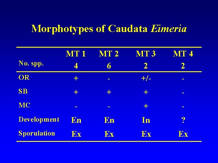 Morphotypes of Caudata Eimeria OR MT 1 4 + MT 2 6 - MT