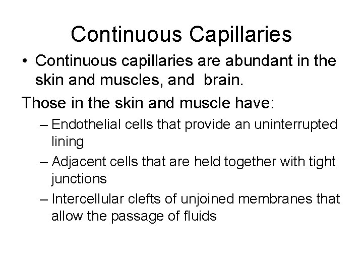 Continuous Capillaries • Continuous capillaries are abundant in the skin and muscles, and brain.