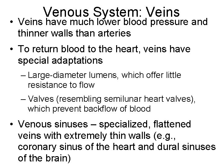 Venous System: Veins • Veins have much lower blood pressure and thinner walls than