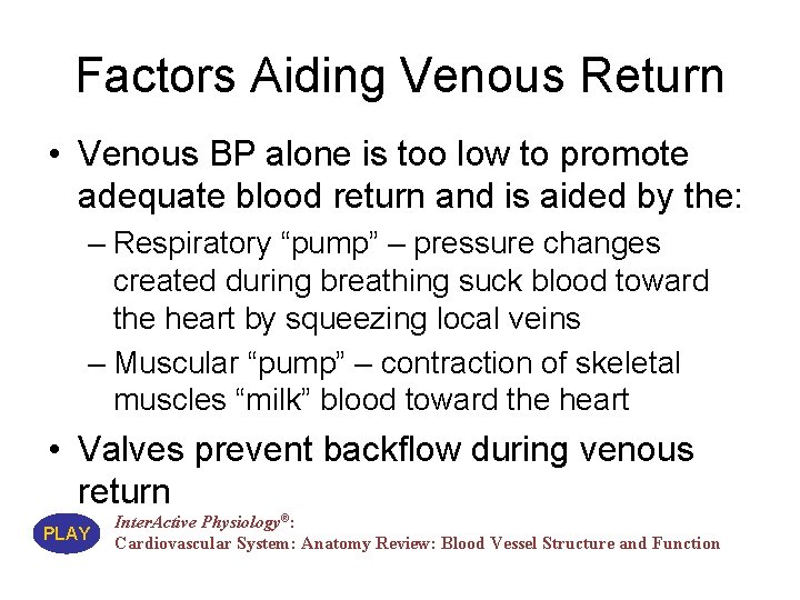 Factors Aiding Venous Return • Venous BP alone is too low to promote adequate