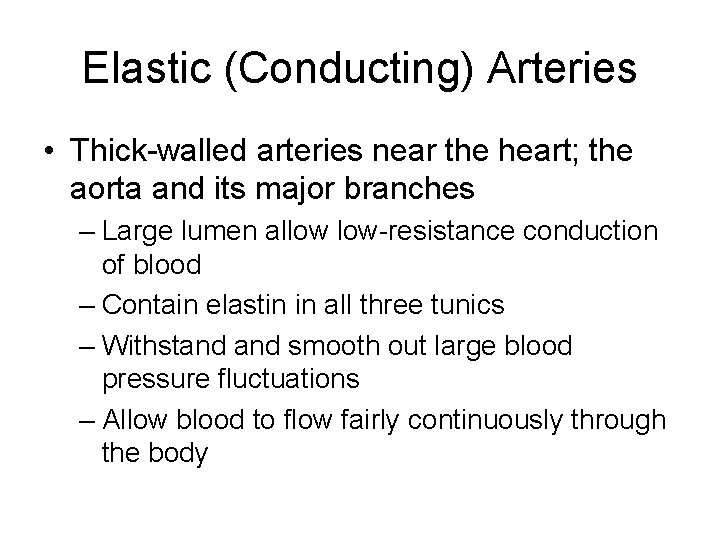 Elastic (Conducting) Arteries • Thick-walled arteries near the heart; the aorta and its major