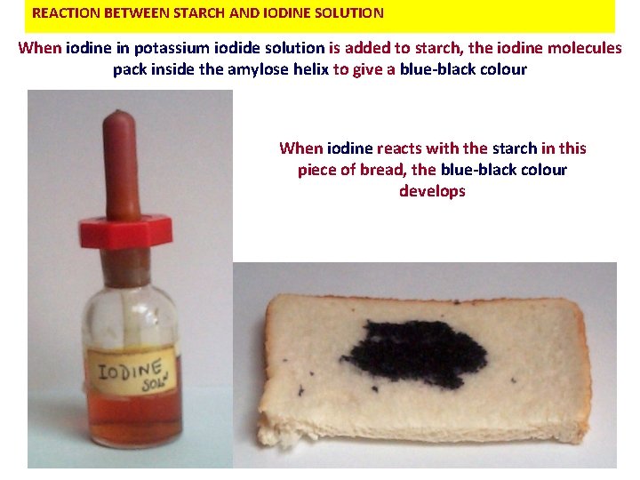 REACTION BETWEEN STARCH AND IODINE SOLUTION When iodine in potassium iodide solution is added