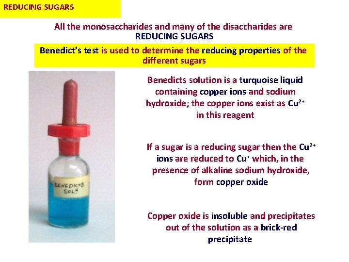 REDUCING SUGARS All the monosaccharides and many of the disaccharides are REDUCING SUGARS Benedict’s