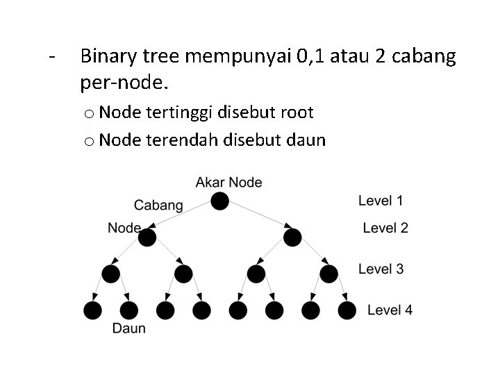 - Binary tree mempunyai 0, 1 atau 2 cabang per-node. o Node tertinggi disebut