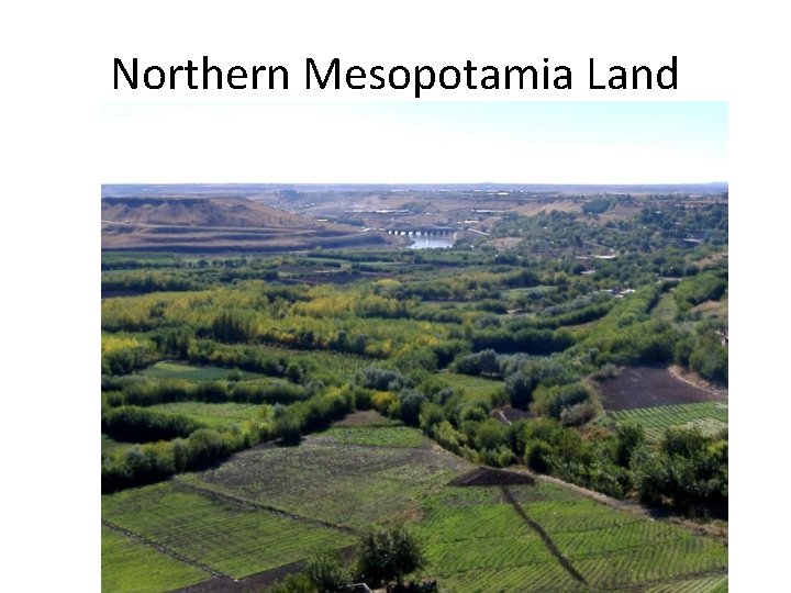 Northern Mesopotamia Land 