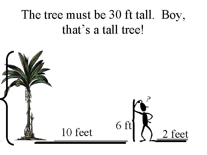 The tree must be 30 ft tall. Boy, that’s a tall tree! 10 feet