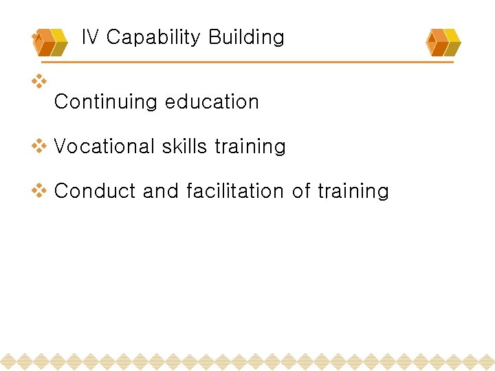 v v IV Capability Building Continuing education v Vocational skills training v Conduct and