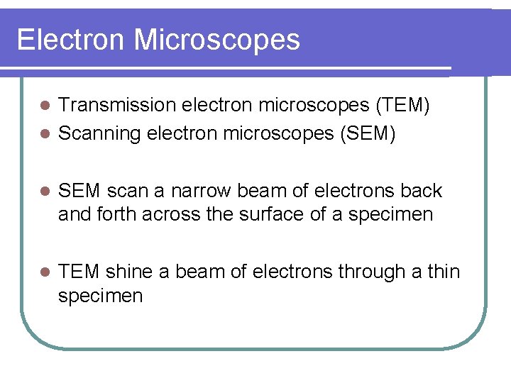 Electron Microscopes Transmission electron microscopes (TEM) l Scanning electron microscopes (SEM) l l SEM