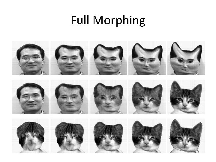 Full Morphing 