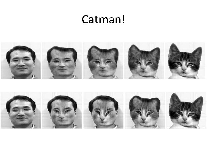 Catman! 