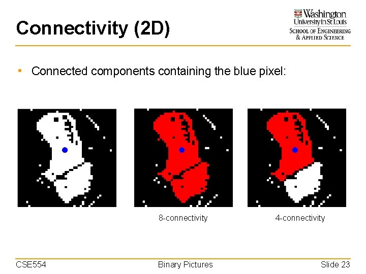 Connectivity (2 D) • Connected components containing the blue pixel: 8 -connectivity CSE 554