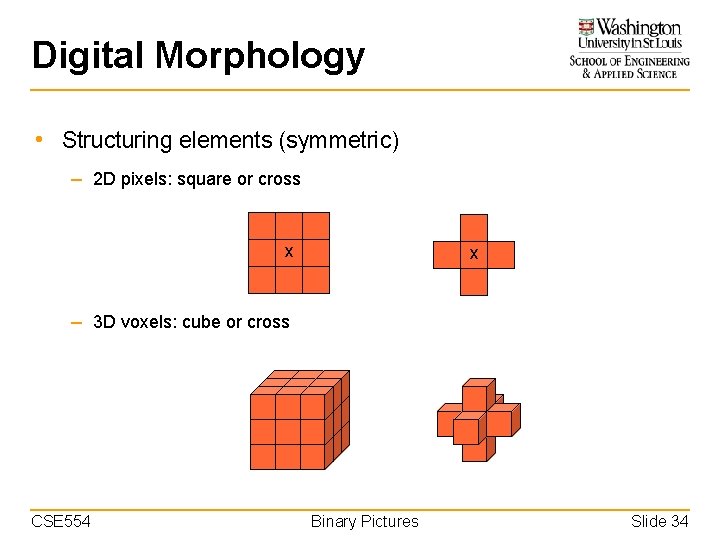Digital Morphology • Structuring elements (symmetric) – 2 D pixels: square or cross x