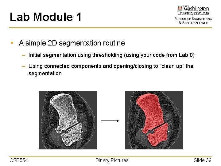 Lab Module 1 • A simple 2 D segmentation routine – Initial segmentation using