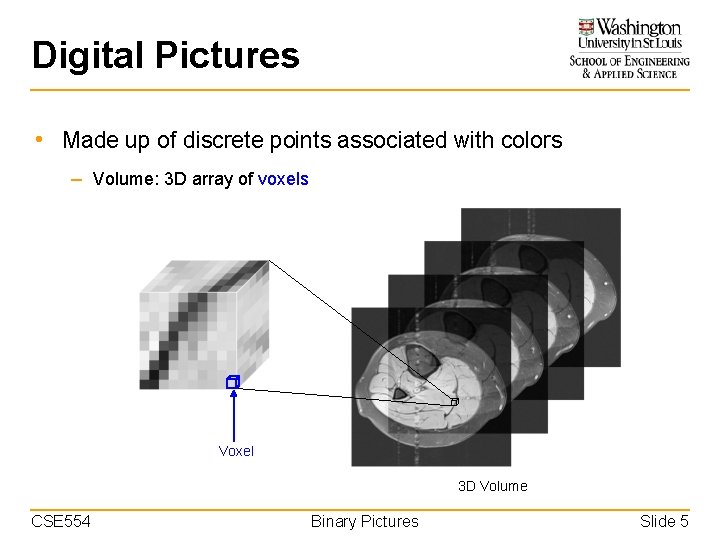 Digital Pictures • Made up of discrete points associated with colors – Volume: 3