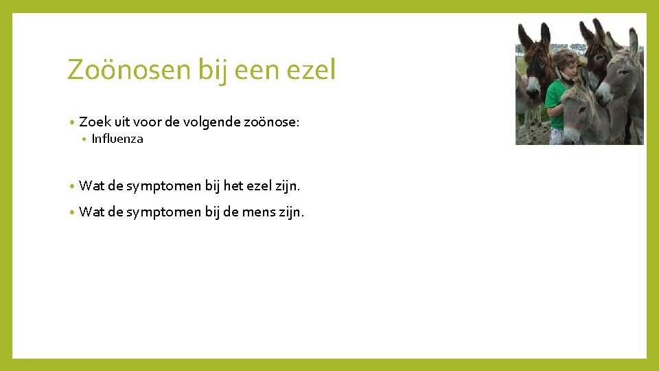 Zoönosen bij een ezel • Zoek uit voor de volgende zoönose: • Influenza •