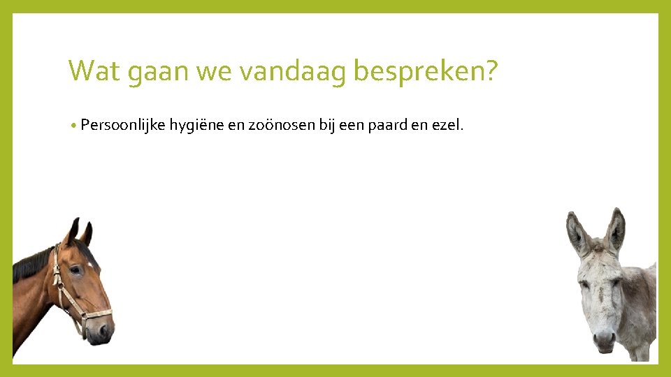 Wat gaan we vandaag bespreken? • Persoonlijke hygiëne en zoönosen bij een paard en