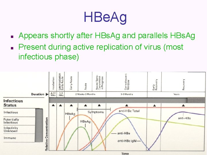 HBe. Ag n n Appears shortly after HBs. Ag and parallels HBs. Ag Present