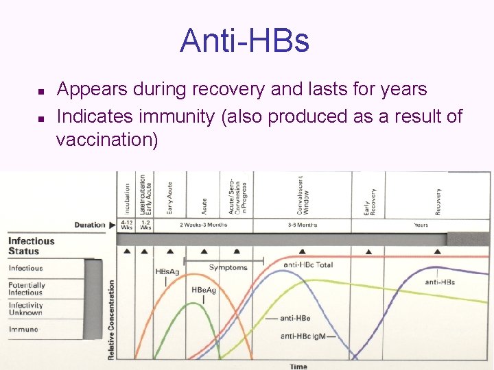 Anti-HBs n n Appears during recovery and lasts for years Indicates immunity (also produced