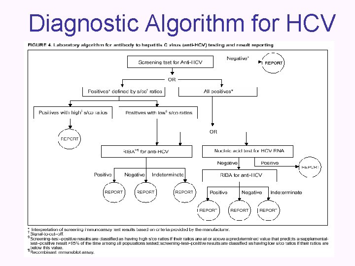 Diagnostic Algorithm for HCV 