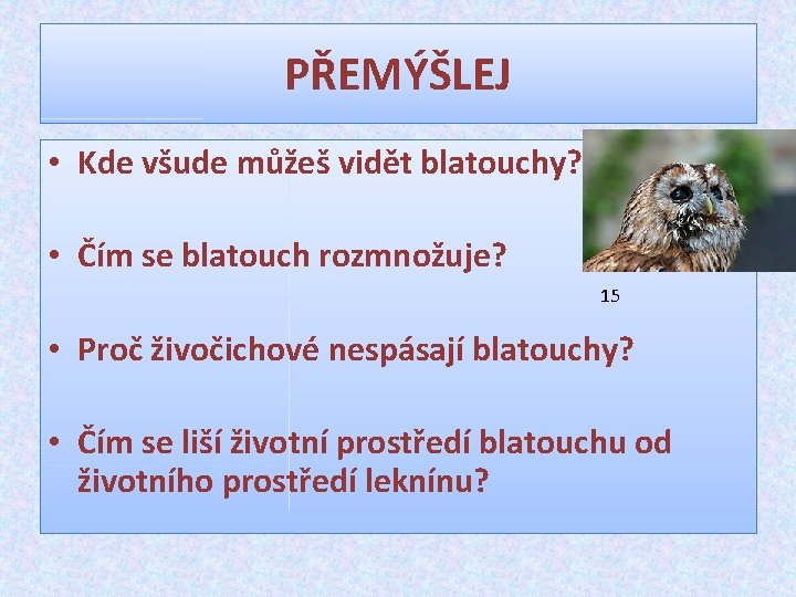 PŘEMÝŠLEJ • Kde všude můžeš vidět blatouchy? • Čím se blatouch rozmnožuje? 15 •