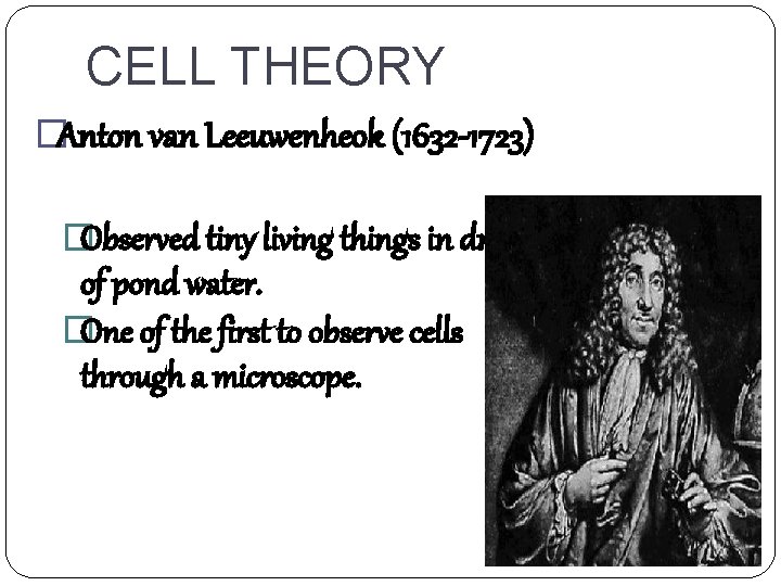 CELL THEORY �Anton van Leeuwenheok (1632 -1723) �Observed tiny living things in drops of