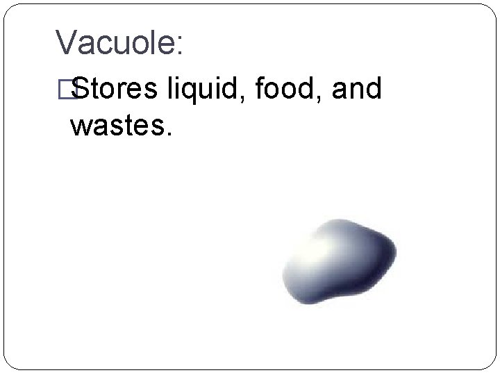 Vacuole: �Stores liquid, food, and wastes. 