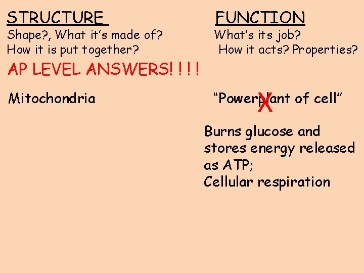 STRUCTURE Shape? , What it’s made of? How it is put together? FUNCTION What’s