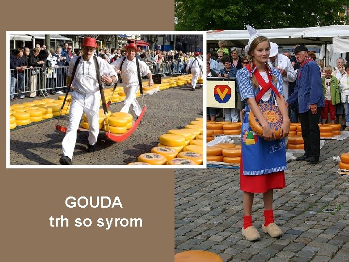 GOUDA trh so syrom 