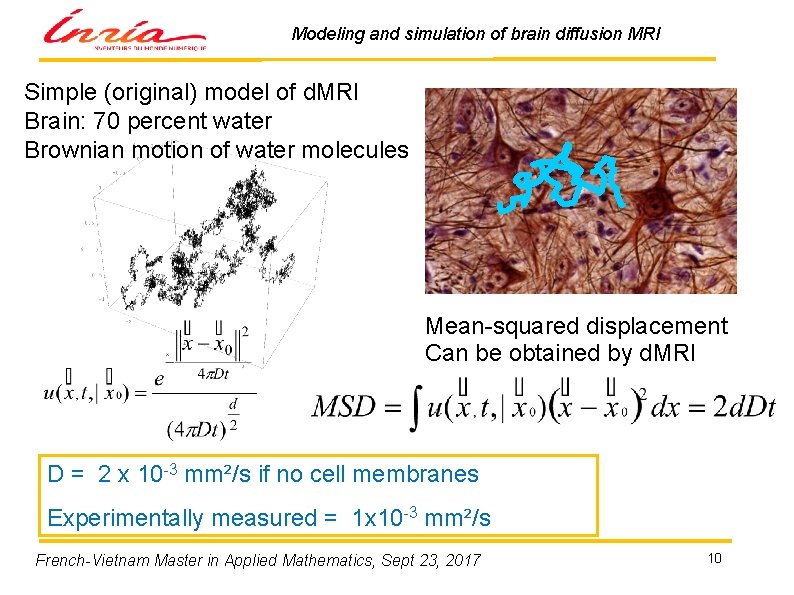 Modeling and simulation of brain diffusion MRI Simple (original) model of d. MRI Brain: