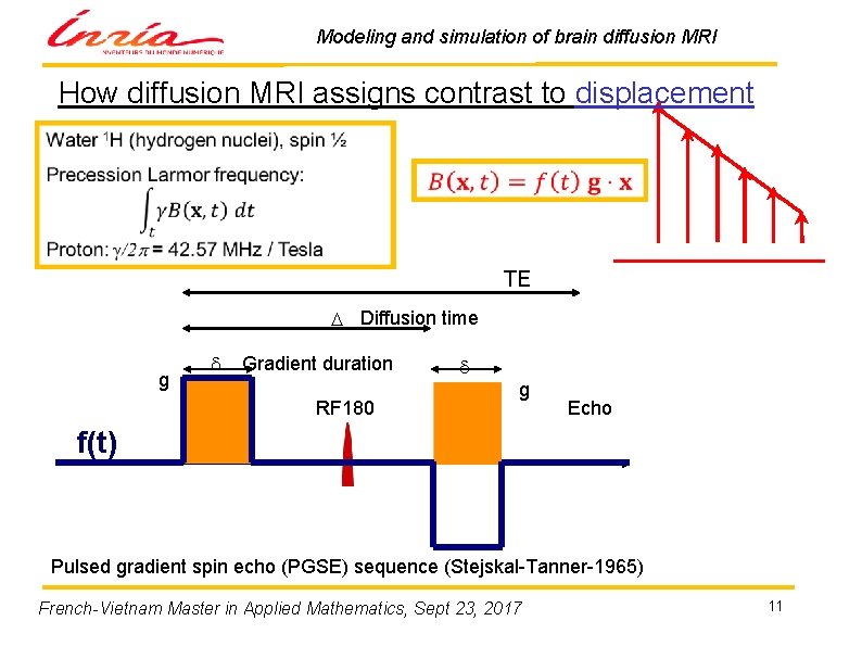 Modeling and simulation of brain diffusion MRI How diffusion MRI assigns contrast to displacement