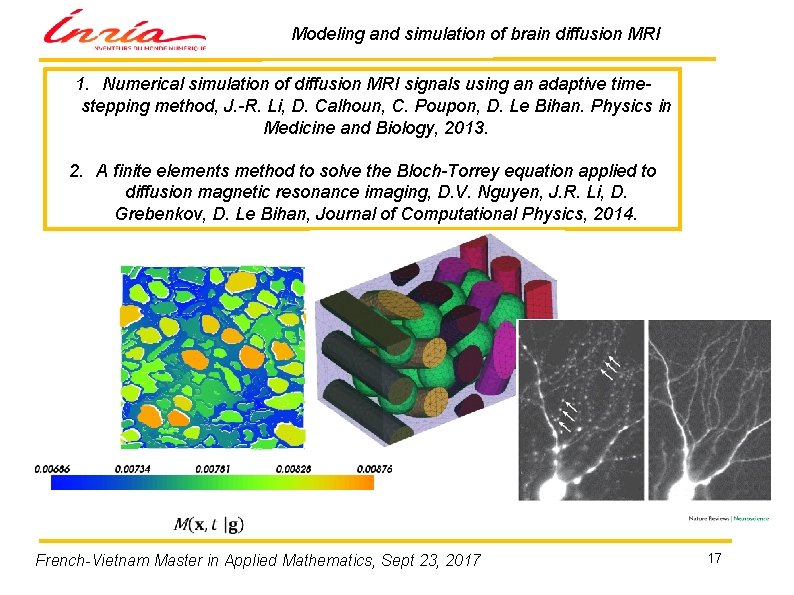 Modeling and simulation of brain diffusion MRI 1. Numerical simulation of diffusion MRI signals