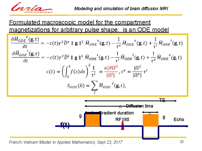 Modeling and simulation of brain diffusion MRI Formulated macroscopic model for the compartment magnetizations
