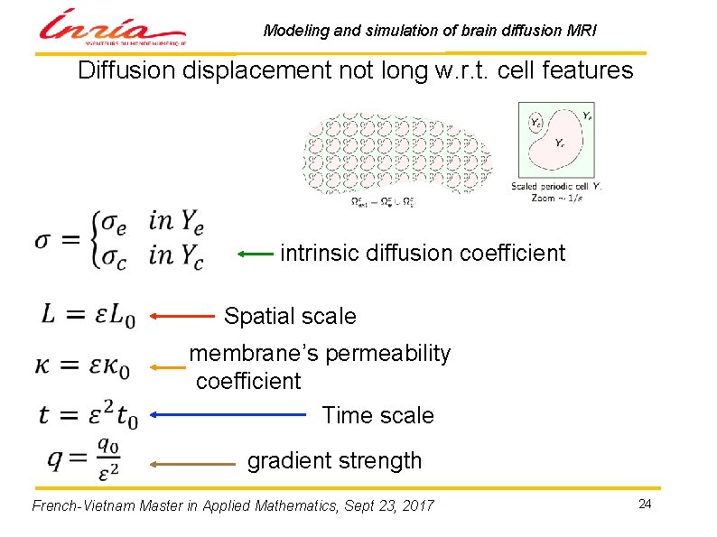 Modeling and simulation of brain diffusion MRI Diffusion displacement not long w. r. t.