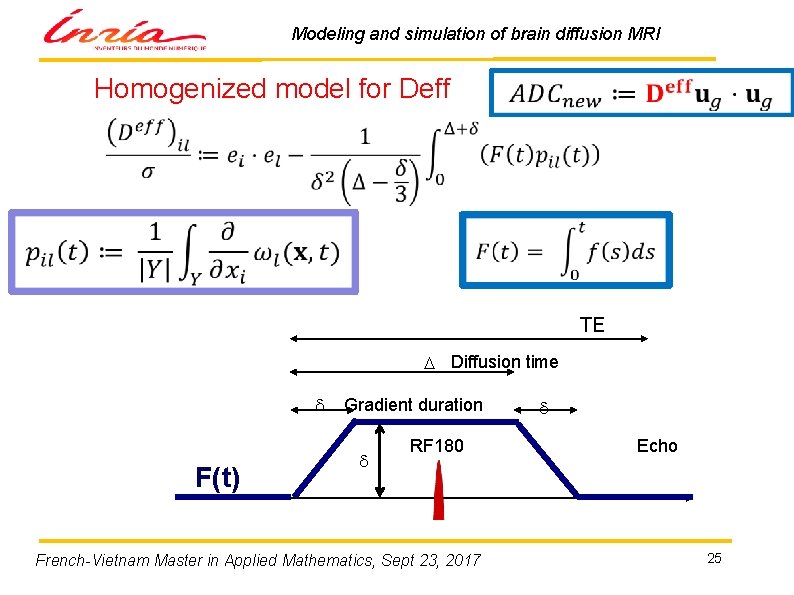 Modeling and simulation of brain diffusion MRI Homogenized model for Deff TE D Diffusion
