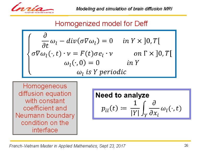 Modeling and simulation of brain diffusion MRI Homogenized model for Deff Homogeneous diffusion equation