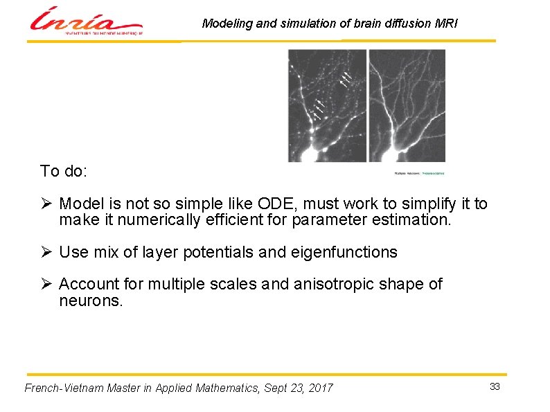 Modeling and simulation of brain diffusion MRI To do: Ø Model is not so