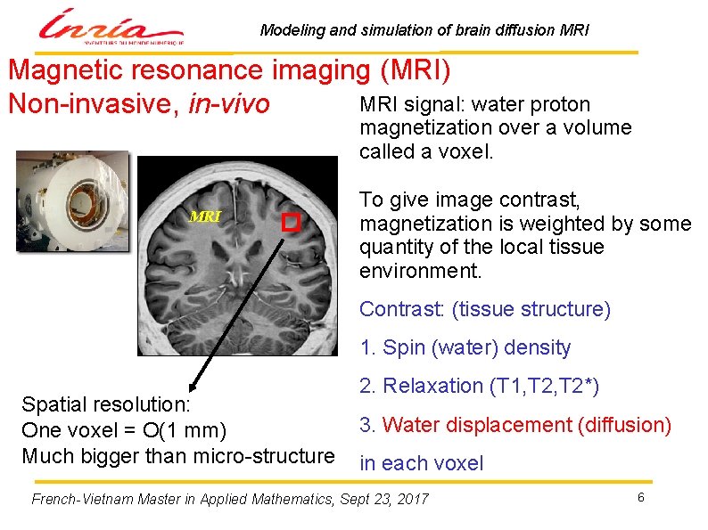 Modeling and simulation of brain diffusion MRI Magnetic resonance imaging (MRI) MRI signal: water