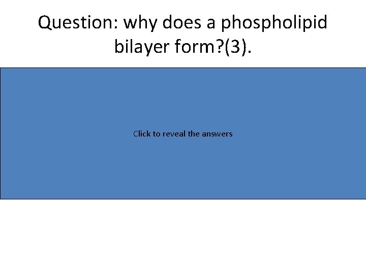 Question: why does a phospholipid bilayer form? (3). • The phospholipid molecules have a
